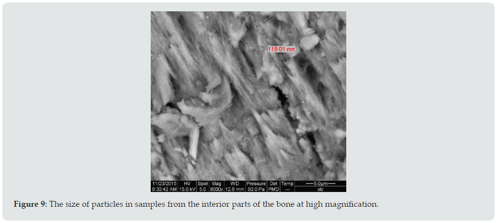 Click here to view Large Figure 9 Lupinepublishers-anthropological-and-archaeological-sciences
