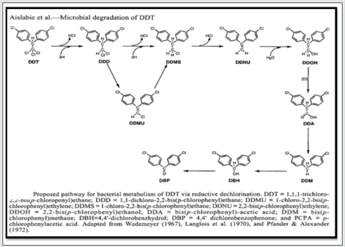Lupinepublishers-openaccess-biotechnology-microbiology