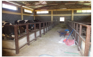 Lupinepublishers-openaccess-Dairy-Veterinaryscience