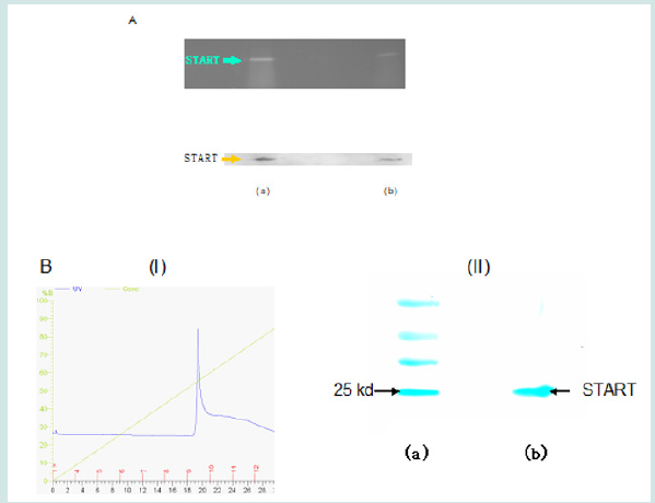 Click here to view Large Figure 3 Lupinepublishers-openaccess-drug-designing-journal