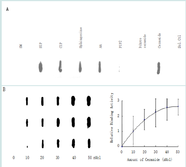 Click here to view Large Figure 4 Lupinepublishers-openaccess-drug-designing-journal