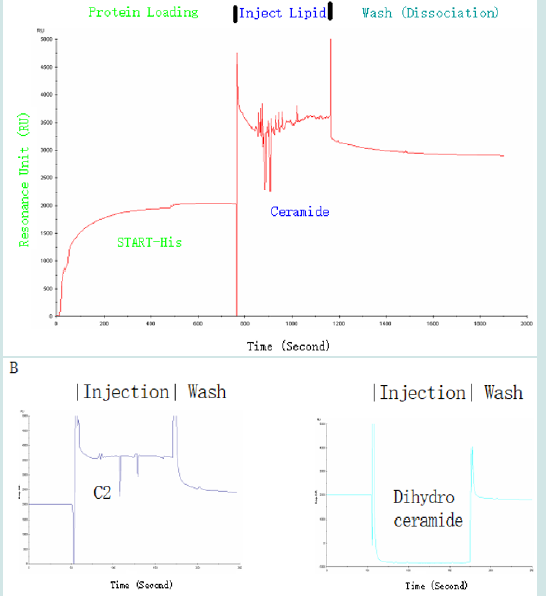 Click here to view Large Figure 5 Lupinepublishers-openaccess-drug-designing-journal