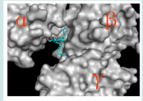 Click here to view Large Figure 9 Lupinepublishers-openaccess-drug-designing-journal