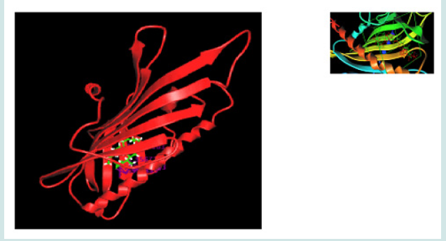Click here to view Large Figure 2 Lupinepublishers-openaccess-drug-designing-journal