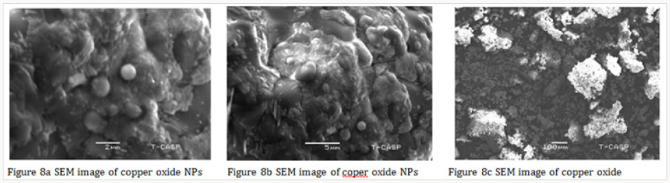 Lupinepublishers-openaccessjournals-Nanotechnology-nanomedicine